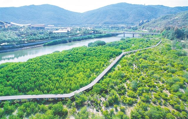 海南岛最佳海滩，海南岛1900多公里海岸线形态各异