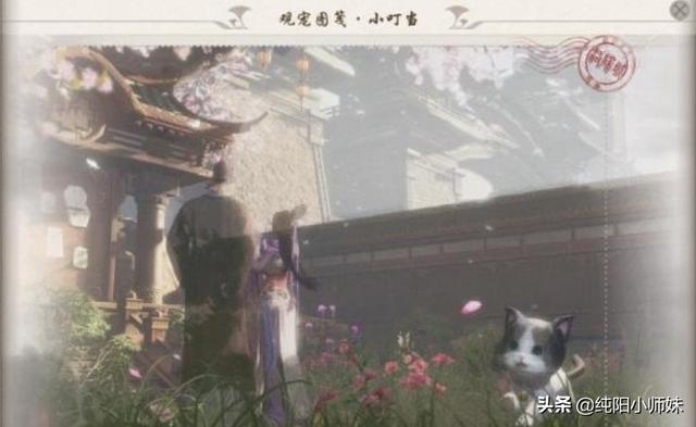 剑网三宠物游历图鉴，剑网3版旅行的青蛙