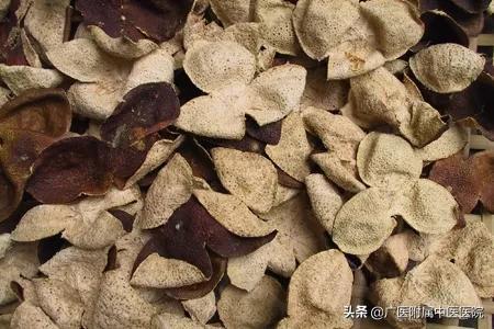 为什么三年的陈皮这么好，陈皮你“泡”对了吗
