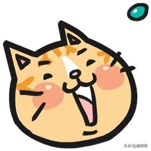 买猫砂盆哪种比较好，猫砂盆最全选购指南