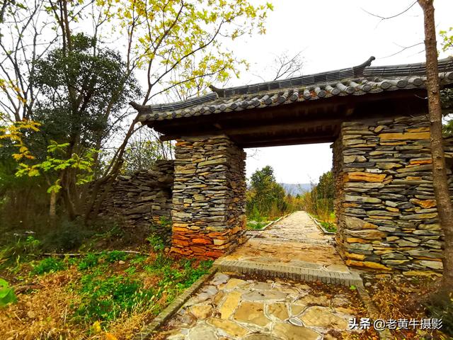 京山青龙山风景区在哪，京山青龙山，生态美景看不够