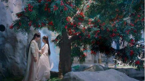 宝泉旅游攻略，史上最硬核攻略来袭