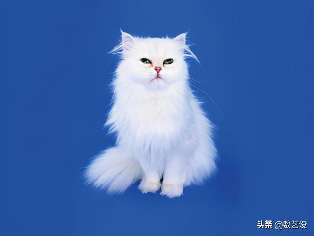 ps抠图九大原则，精通Photoshop抠图不算什么