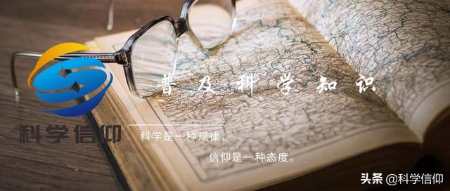 肥胖挡子弹(胖子穿子弹好看吗)