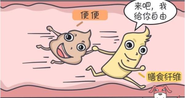 金燕耳和椴木银耳区别，为什么金燕耳比普通银耳贵这么多