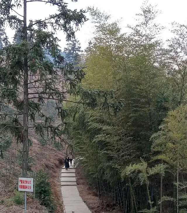 光山旅游景点大全，河南省光山县