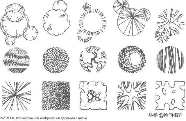 超级简单的植物线描图怎么画，手绘植物很难画