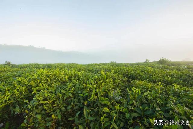 最佳的泡脚温度和时间，泡脚你真的泡对了吗