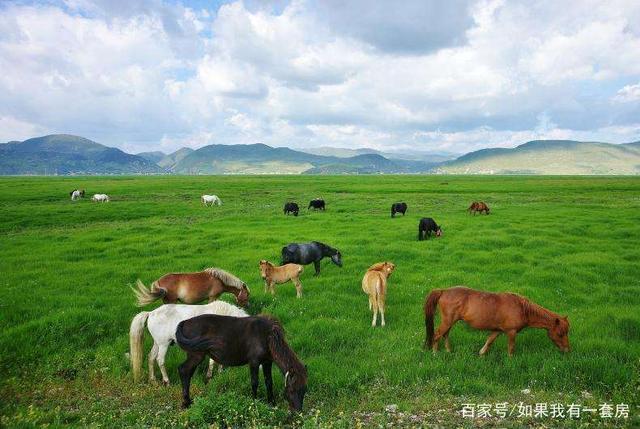 香格里拉旅游攻略，香格里拉一日游玩攻略