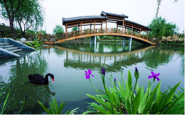 临沂兰陵景点介绍，山东临沂兰陵的美景