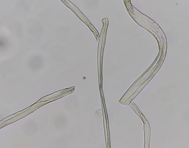 细绒，羽绒是小细绒好还是大绒好