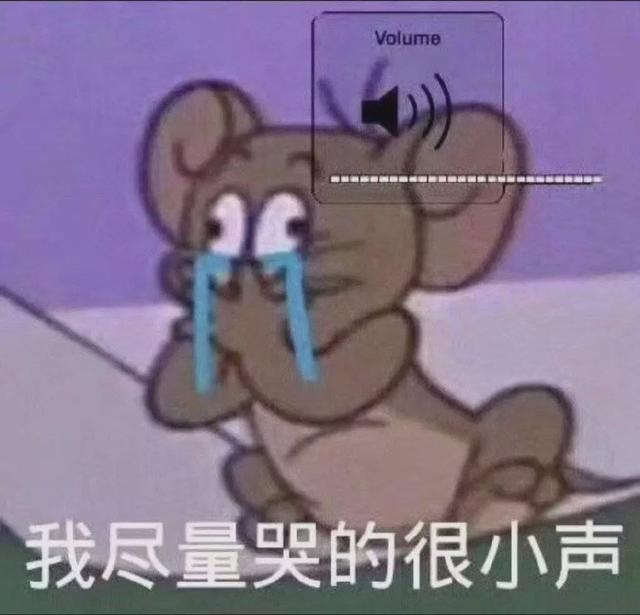 属鼠的都有哪些明星，请记住这些明星鼠
