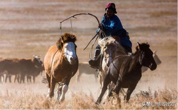 大清帝国有多大，看完大清帝国全图