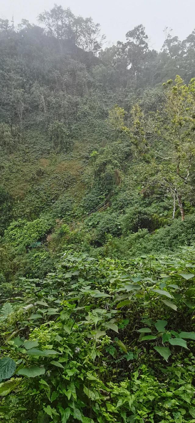 火山国家地质公园旅游，火山口地质公园游览感受