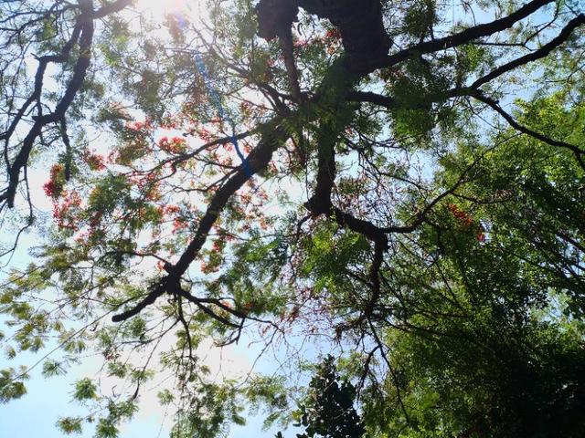 深圳世界之窗晚上有什么看点，最好的风景在门口