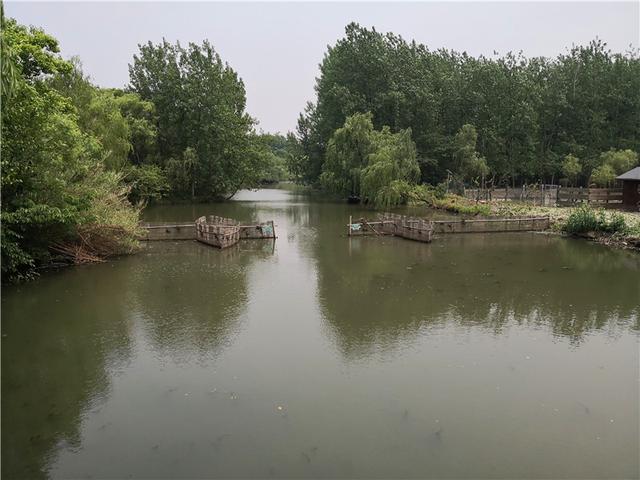 泰州溱湖湿地公园，江苏溱湖国家湿地公园（泰州溱湖国家湿地公园）