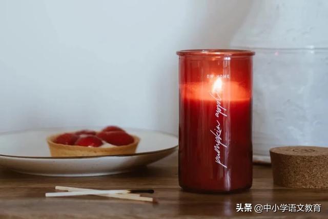文言文咏雪翻译及注释，初中文言文中的“共用”例句