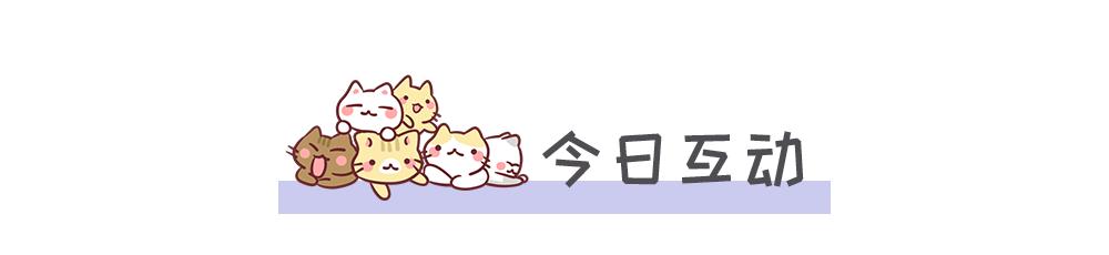 盘点动画猫里面的小猫的品种，动漫中的猫现实中都是什么品种