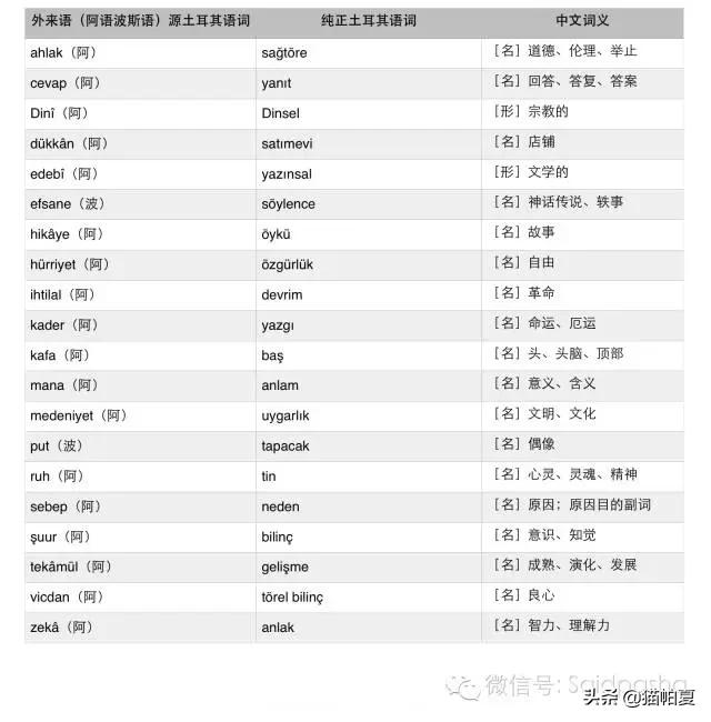 土耳其官方说什么语言，会简单的英语交流能畅游浪漫的土耳其吗
