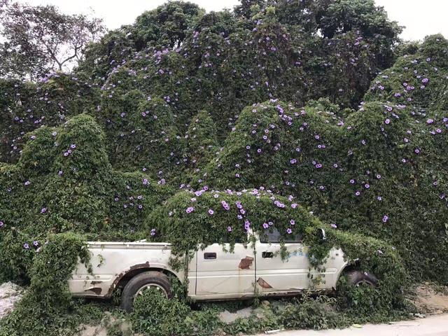 深圳最好玩的地方，深圳好玩的旅游景点排行前十
