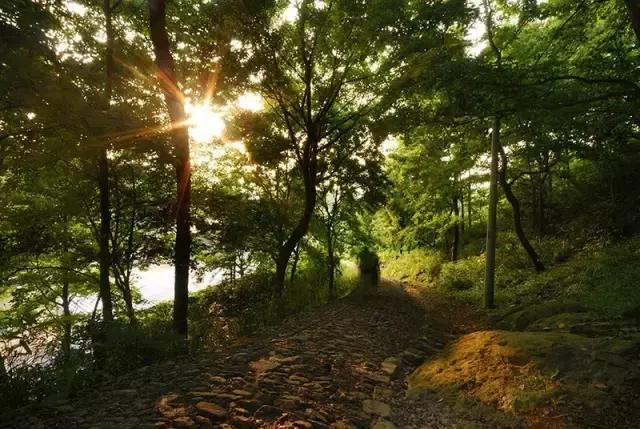 宁波有几个古道可以爬山的，宁波这11条登山健身步道你走过吗