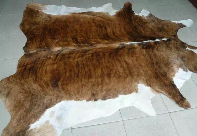 百变马丁叫什么名字，百变马丁-动漫IP＋儿童美育