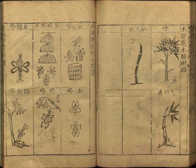 本草纲目全书带图，李时珍本草纲目全书（李时珍著《本草纲目》附图卷）