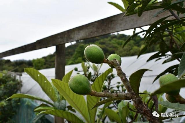 四明山好玩的景点大全，四明山游记