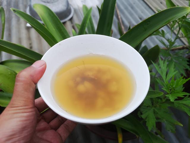 人参应该怎样吃才效果好，人参的吃法很重要