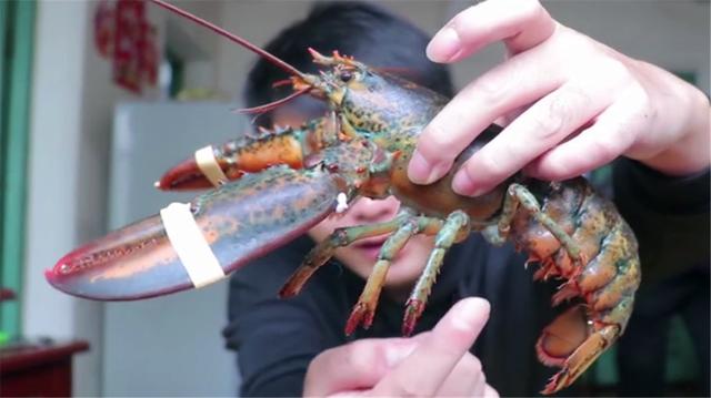  波士顿大龙虾图片，世界上最便宜的 波士顿大龙虾