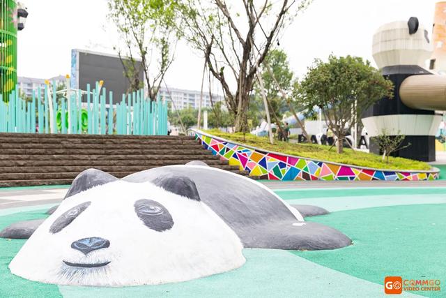 重庆熊猫最多的公园，你知道重庆动物园有多少只熊猫