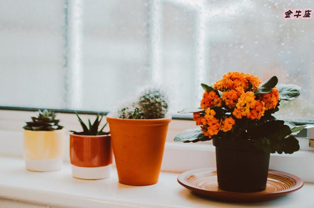 最容易成为渣男的五大星座，堪称直男的三大星座