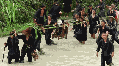 少数民族抬狗节，全世界最宠狗的民族