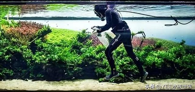 自制水循环鱼缸用，自制鱼缸水循环原理（巧用物理原理做鱼缸）