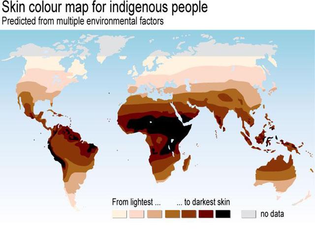 黑人白人黄种人怎么演变的，分离了7万年的黄种人