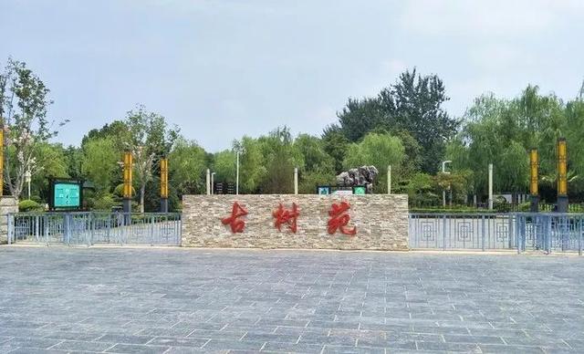 郑州周边免费景点，郑州最近免费旅游景点大全（不出郑州的8个赏花遛娃地）