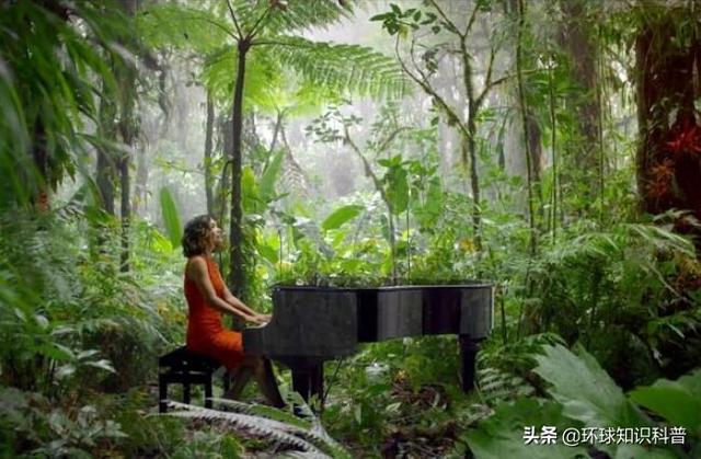 密集物体恐惧症，十种最奇异的恐惧症（人为什么会有密集物体恐惧症）