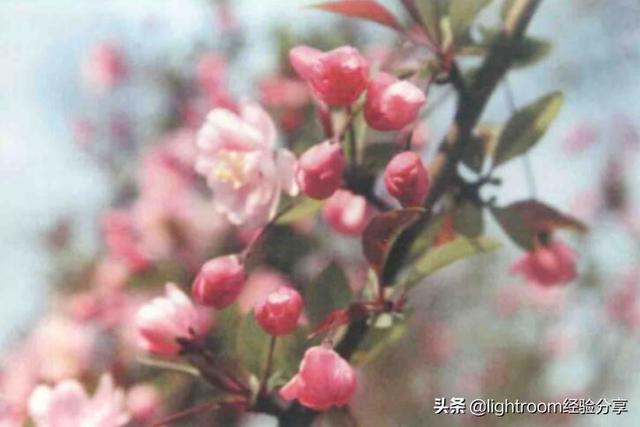 初学单反摄影技巧图解，请先从认识相机开始