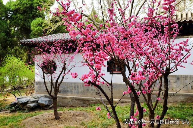 北海公园景点介绍，北海公园旅游攻略（北京周末去哪儿——北海公园）