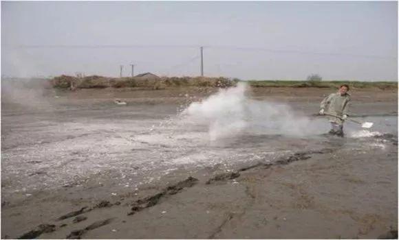 清塘新方法，哪些东西是清塘的