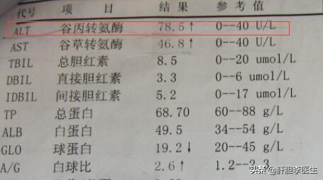 谷丙转氨酶偏高与肥胖(谷丙转氨酶偏高有什么影响)