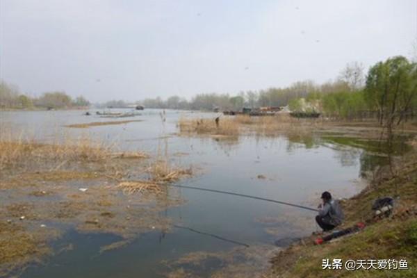 春钓鲫鱼绝密技巧，春钓鲫鱼切勿到了水边就开钓