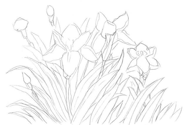 钢笔画入门基本步骤，钢笔画入门步骤详解