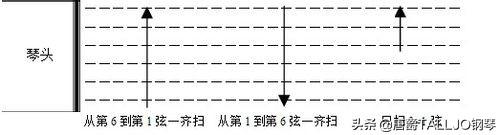 吉他教学入门零基础新手第一课，吉他基础教程入门知识