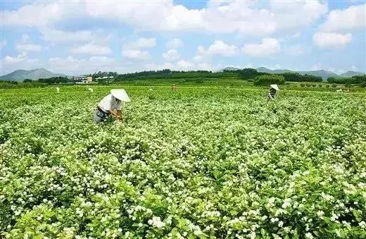 福州到厦门高铁，福州至厦门高铁运行时间