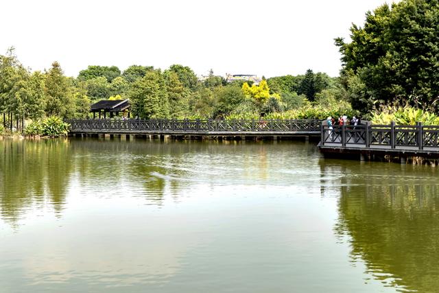 广州有多少人口，广州越秀区户籍人口为什么这么多