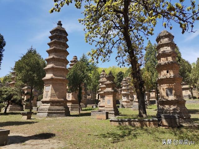 郑州攻略一日游，郑州一日游吃住攻略（三个适合带娃玩的小众宝藏地方）