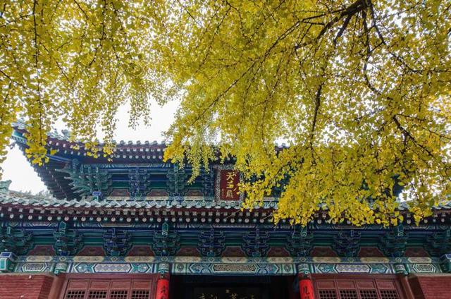 郑州好玩的景点排行榜，郑州旅游十大必游景点排名