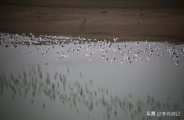 上饶鄱阳湖古桥，江西鄱阳湖千眼古桥