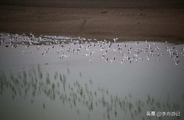 上饶鄱阳湖古桥，江西鄱阳湖千眼古桥